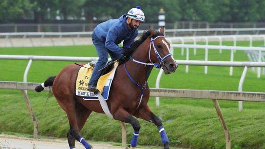 2024 Preakness Stakes picks: Fade Kentucky Derby winner Mystik Dan  (Horse Racing). Photo by Mitch Stringer, USA TODAY Sports